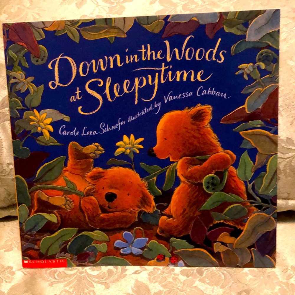 DOWN IN THE WOODS AT SLEEPYTIME - NWOT SCHOLASTIC CHILDREN’S BOOK EDUCAT…-#578
